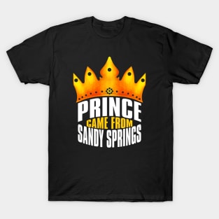 Sandy Springs Georgia T-Shirt